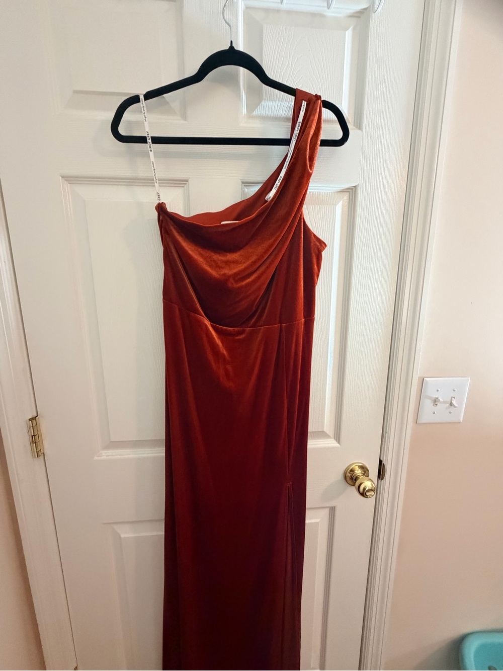 Birdy Grey One-Shoulder Rust Velvet Gown